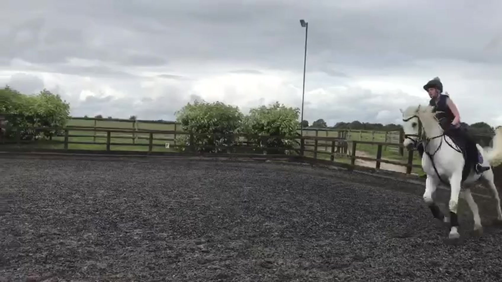 Louie jumping